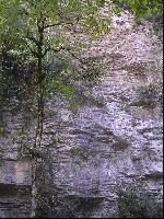 � �� ������ ������ �������