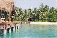 ������ ��������