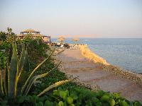 ����� ���