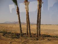 ��� ������ �� Coral street