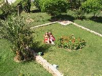 ��� ������ ��� �����