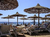 Maxim Plaza ����