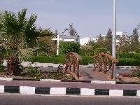 ���������� �������