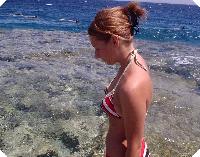 ������� �������