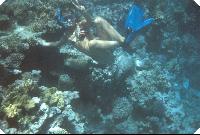 ��� ����� 3