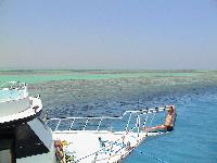 ������� ����