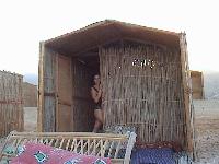 ��� ������