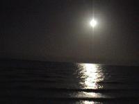 ����� ���������� - ��� ������- ���������