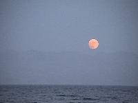 ��� ������ .�������� - ���������� ������