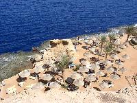 Dreams Beach Vacation HV-1