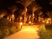 ����� ���� �������