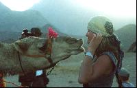 ��������� �������:)))