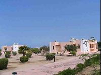 ����� �������� 2004