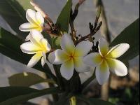 �� ���������� ����� ������