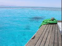 �� ������� ��������