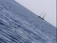 ������� ��������