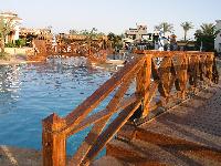 ����� �������� ��������