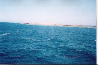 ����� ����