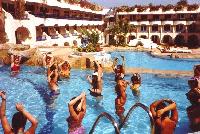 ����� "Sea Gull"