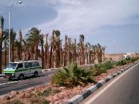 ������ � ������ ����