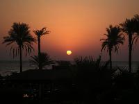 ������ ��� �����