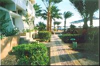 ���� �������