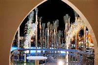 ��� �� ������ �����