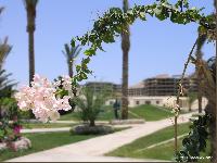 �������� �����