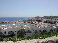 Domina Coral Bay ������� �����