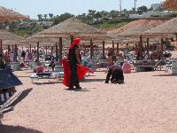 Domina Coral Bay ����