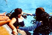 ����� "Sea Gull"