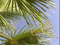 ������ � ����