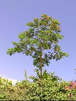 ���������� ������