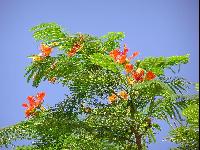 ������ � ����