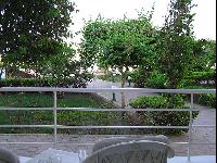 ��� � �������