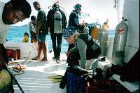 �������