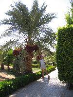 ����� �� �����������