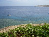 ��� �� ����