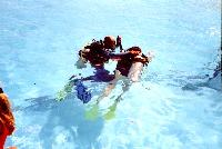 ����� "Sea Gull"