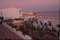 �� ������