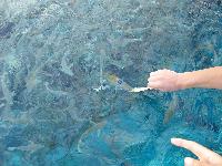 �������� �������