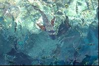 ����� ���� �����!