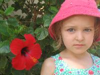 2 ��������