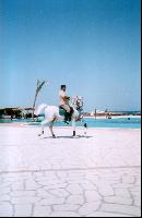 ������������� ����