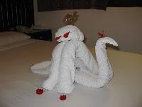 ����� �� ������ �����.