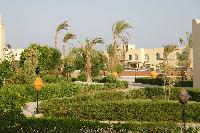 Desert Rose - ��� ����� ;)