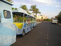 ������ �����