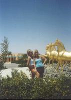 ������� ������ (�� ������ �����)