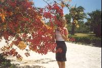 �������������� ��������!