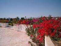 ����� � �����